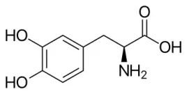 lewodopa-mucuna-czysty-zwiazek-dopa-greater98percent-5g