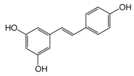 resveratrol-resweratrol-czysty-zwiazek-greater98percent-90g