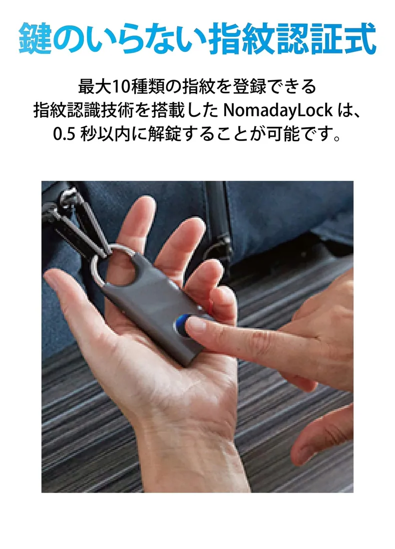 klodka-lexon-nomaday-rodzaj-klodka