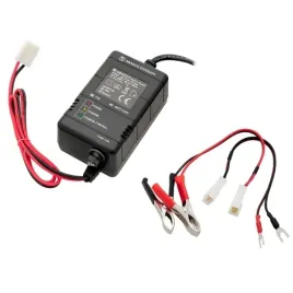 uniwersalna-ladowarka-akumulatorow-6ah20ah-12v