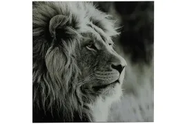 obraz-czarno-bialy-szklany-lew