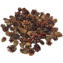 szyszka-szyszki-susz-do-dekoracji-duza-paka-05-06kg-naturalne-eko-stroik