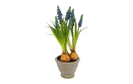 dekoracja-ozdoba-sztuczna-roslina-w-doniczce-niebieskie-szafirki-28-cm