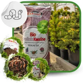 ziemia-do-borowek-podloze-kwasne-do-iglakow-bio-organiczny-nawoz-2-x-50-l