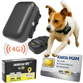 lokalizator-gps-4g-dla-psa-kota-tracker-zwierzat-bez-abonamentu