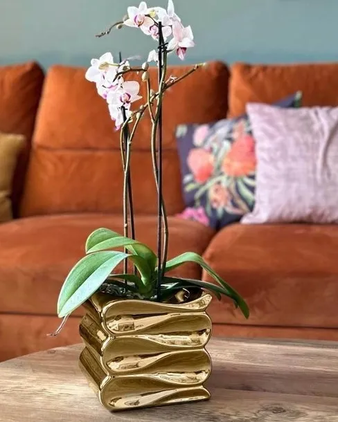 oslonka-15-ceramika-material-ceramika