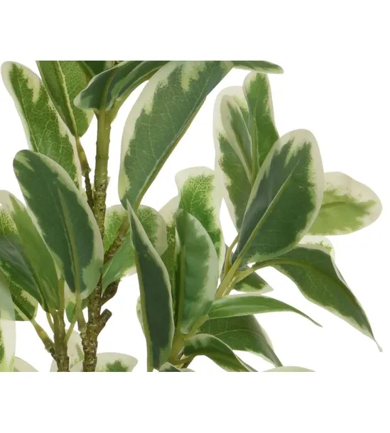 oslonka-15-ceramika-wysokosc-produktu-15-cm