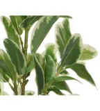 oslonka-15-ceramika-wysokosc-produktu-15-cm