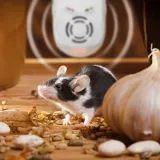 gardigo-ochrona-przed-szkodnikami-plus-kod-producenta-62323-gardigo-marka-bez-marki