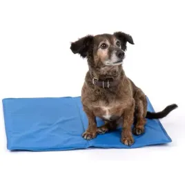 mata-chlodzaca-dla-psa-kempingowa-50x65cm-camp4