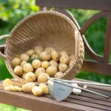 tluczek-do-ziemniakow-westmark-kolor-srebrny