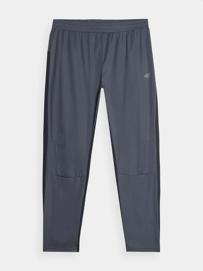 spodnie-4f-tftrm330-aw23-r-m