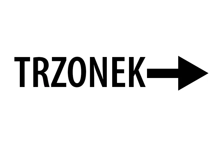 zarowki-led-h7-e57-9v-16v-6000k-12w-typ-zarowki-h7