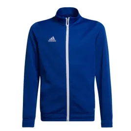 bluza-adidas-niebieski-176-r