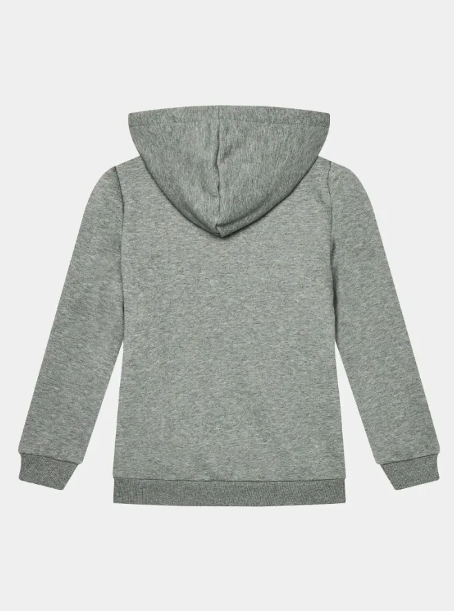 bluza-juniorska-essentials-big-logo-zip-puma-116cm