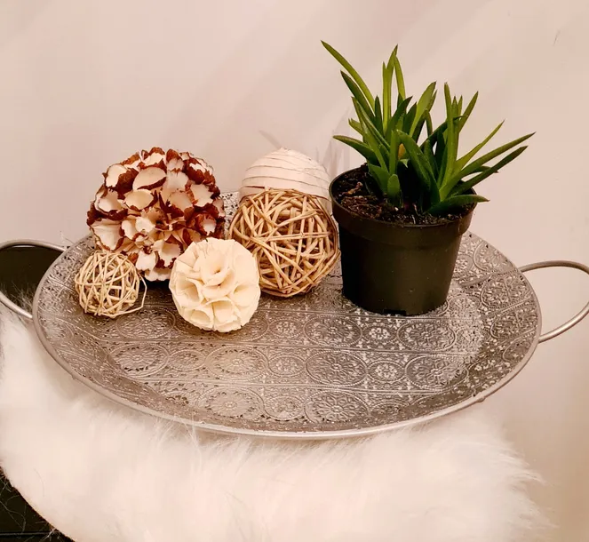 taca-zd-trading-glamour-linia-glamour