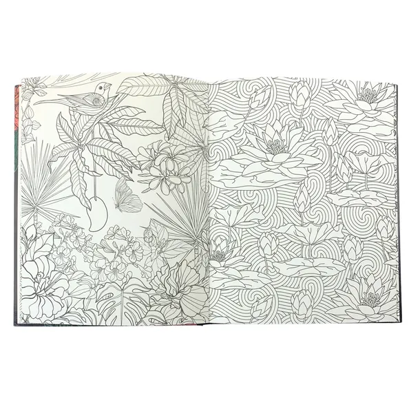 colouring-book-praca-zbiorowa-przedzial-wiekowy-dla-dzieci-z-klas-i-iii-6-9-lat