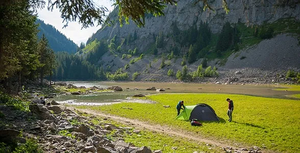 namiot-coleman-pingora-3-blackout-liczba-wejsc-1