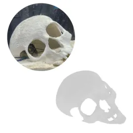 zlamana-czaszka-do-akwarium-czacha-kosciotrup-kryjowka-dla-ryb-i-krewetek