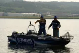 guma-savage-gear-4d-perch-shad-20-cm-model-4d-perch-shad