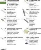 apteczka-travel-safe-first-aid-globe-basic-zielony-kolor-zielony