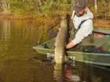 rapala-wobler-skitter-pop-sp09-ch-cechy-dodatkowe-brak