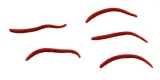 angle-worm-5cm-red-wiggler-gulp-alive-berkley-x60