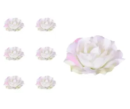 roza-glowka-sonia-kremowa-6-sztuk