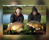 expert-204-45-000-3-szt-liczba-sztuk-3-szt