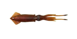 guma-savage-gear-3d-swim-squid-25-cm