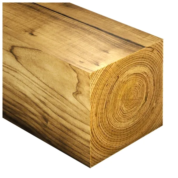 pila-tnaca-globus-ps010-rodzaj-tarczy-tnaca