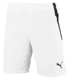 spodenki-meskie-team-liga-puma-l-plec-mezczyzna