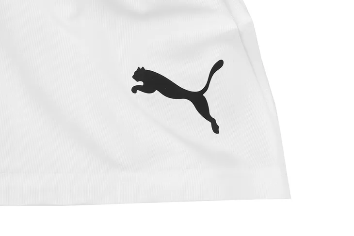 spodenki-meskie-team-liga-puma-l-marka-puma