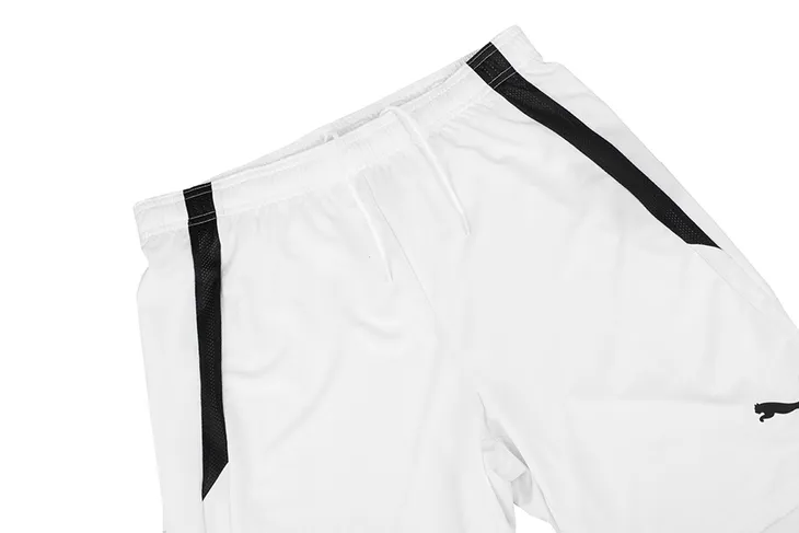 spodenki-meskie-team-liga-puma-l-rozmiar-l