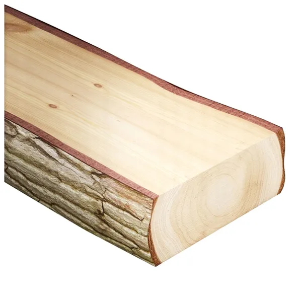 pila-tnaca-globus-pt110-rodzaj-tarczy-tnaca