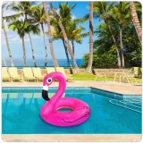 kolo-dmuchane-flaming-90cm-marka-bez-marki