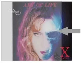 koszulki-okladki-plyty-analogowe-winylowe-analogis-9a6090-100-sztuk