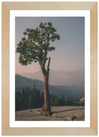 ramka-drewniana-na-zdjecie-21x297-cm-sosnowa-rama