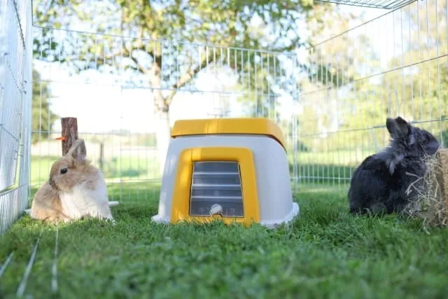 klatka-kerbl-55-x-385-x-58cm