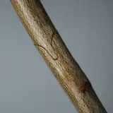 sekator-szczepienia-roslin-krzewow-drzew-waga-z-opakowaniem-0-51-kg-maksymalna-grubosc-cietej-galezi-10-mm