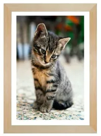 ramka-drewniana-na-zdjecie-30x45-cm-sosnowa