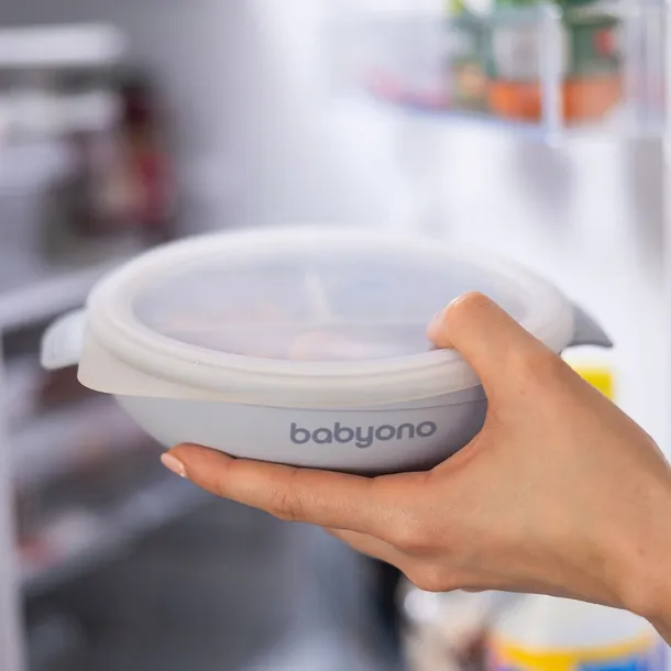 babyono-silikonowy-talerz-z-przyssawka-i-przykrywka-1661-01-niebieski-kod-producenta-1661-01