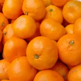 mandarynki-swieze-05-kg-stan-nowy