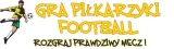 zestaw-do-gry-w-pilkarzyki-na-sprezynach-6008-bohater-brak