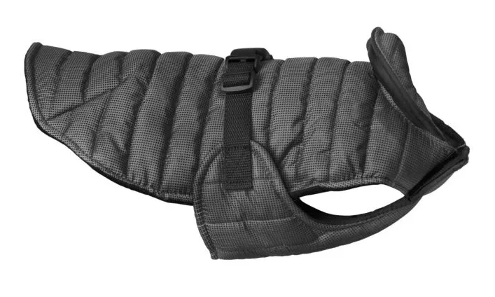 kurteczka-chaba-czarny-s-m-dlugosc-grzbietu-28-cm