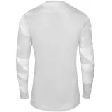 meskie-longsleevy-kompresyjne-nike-dry-park-iv-m-r-s-plec-mezczyzna