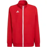 bluza-adidas-czerwony-164-r