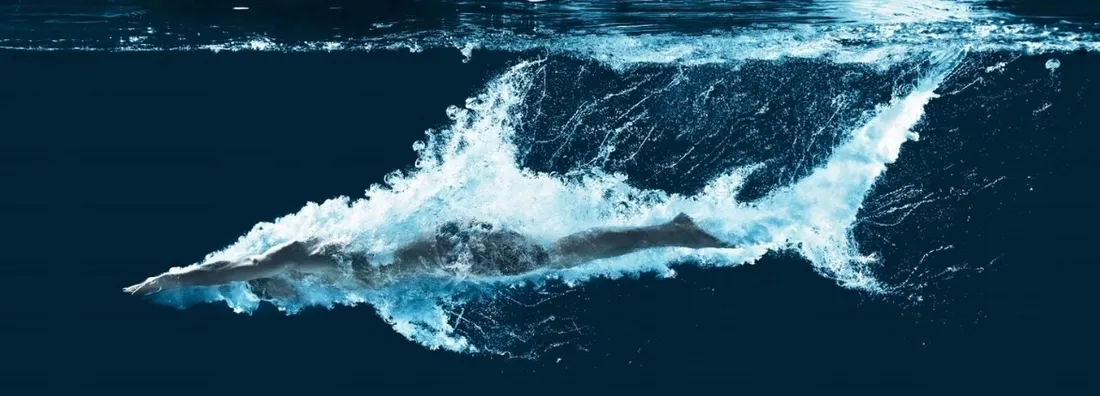 buty-do-wody-bow-arena-44