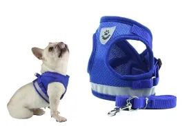 lekkie-szelki-bezuciskowe-dla-malego-psa-kota-mocne-odblaskowe-xs-smycz