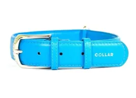 obroza-dla-psa-skorzana-waudog-collar-r-s